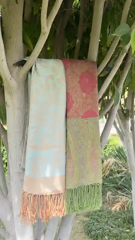 Paisley Elegance Scarf